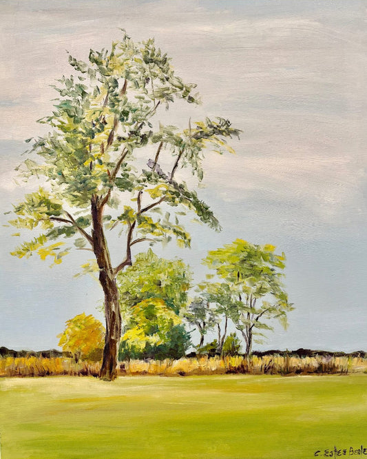 Shaker Vista, Oil on canvas board