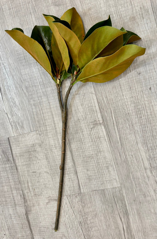 Faux Magnolia Leaf Stem, 25"