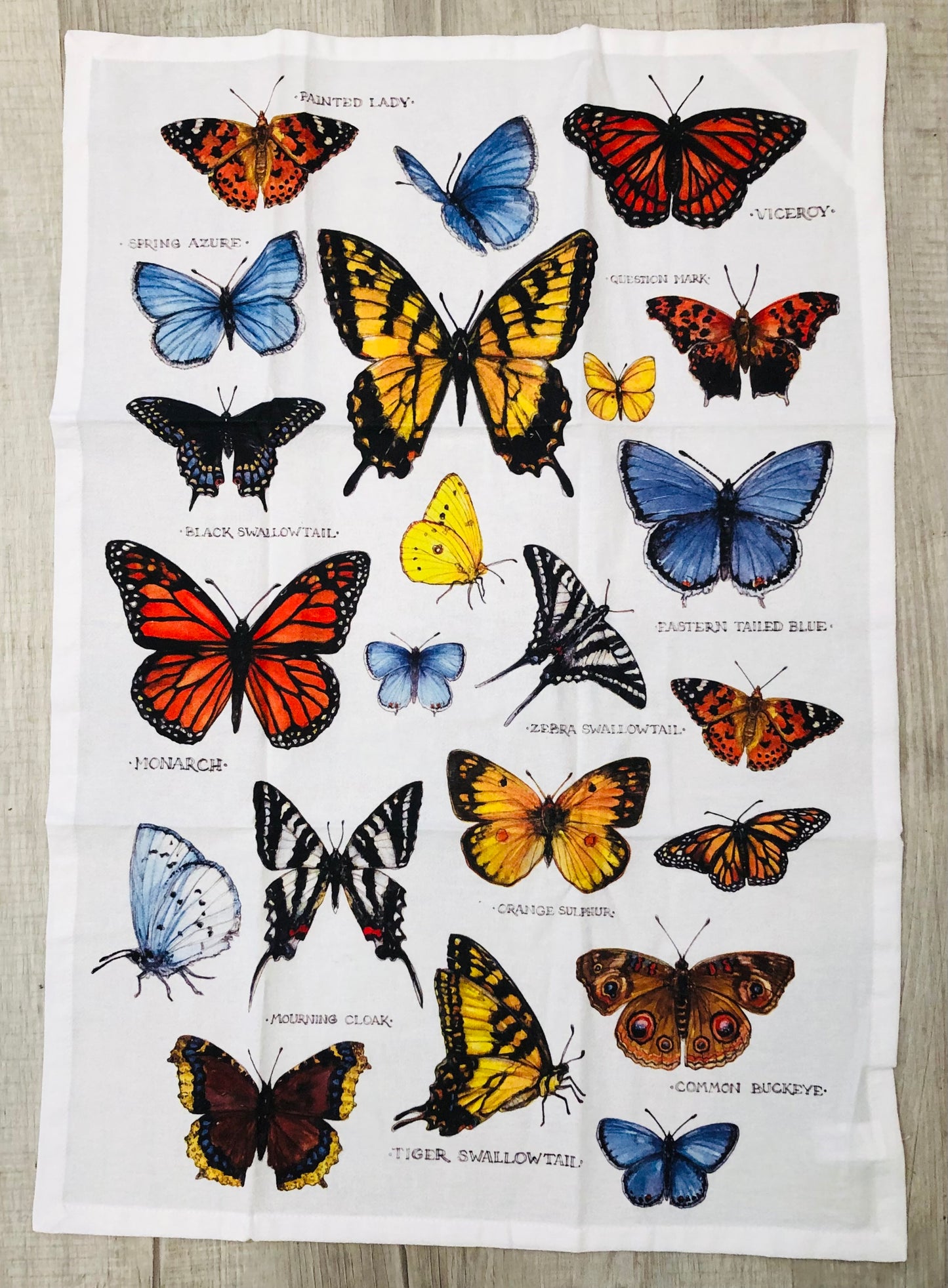 Field Guide Butterflies Kitchen Towel