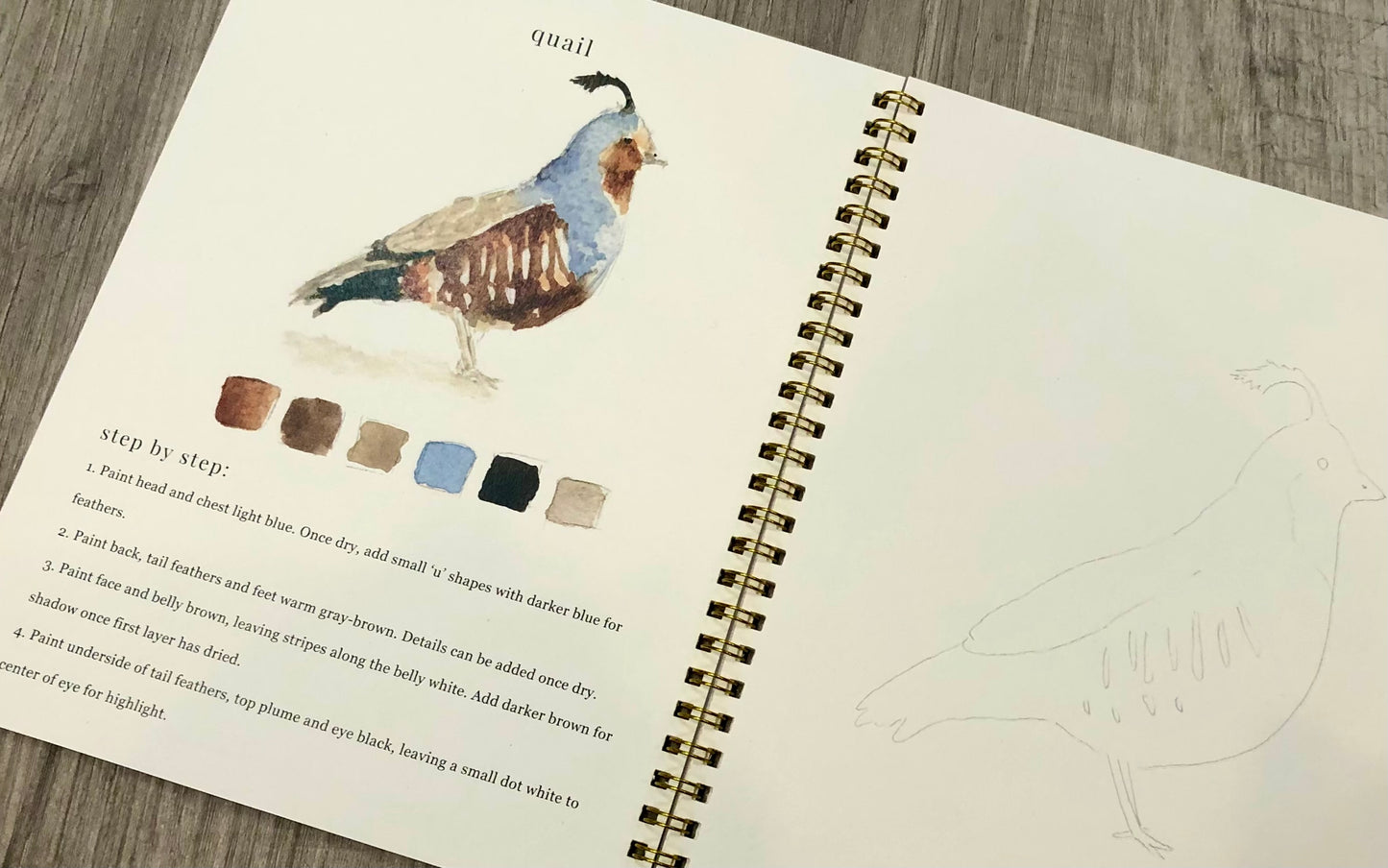 Birds Watercolor Workbook