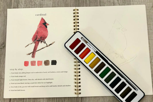Birds Watercolor Workbook