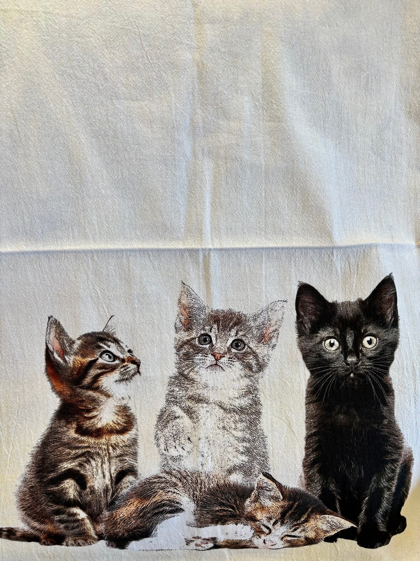 "Kittens" Towel