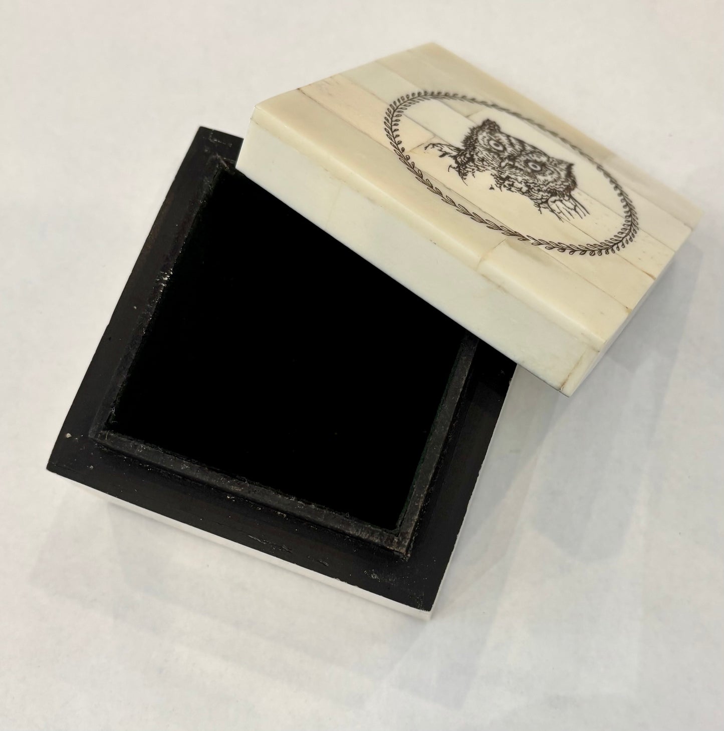 Owl Head Etched Scrimshaw Box