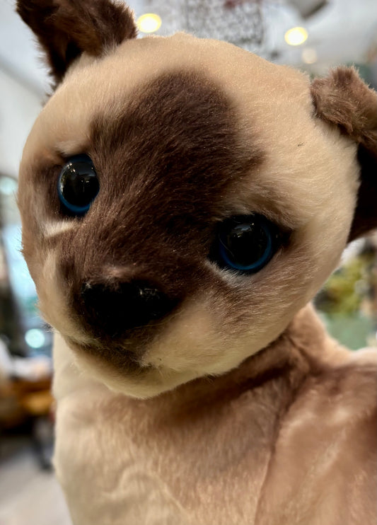 Siamese, Stuffed Cat