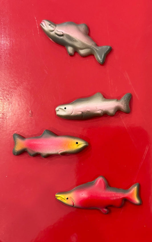Salmon Fish Magnets