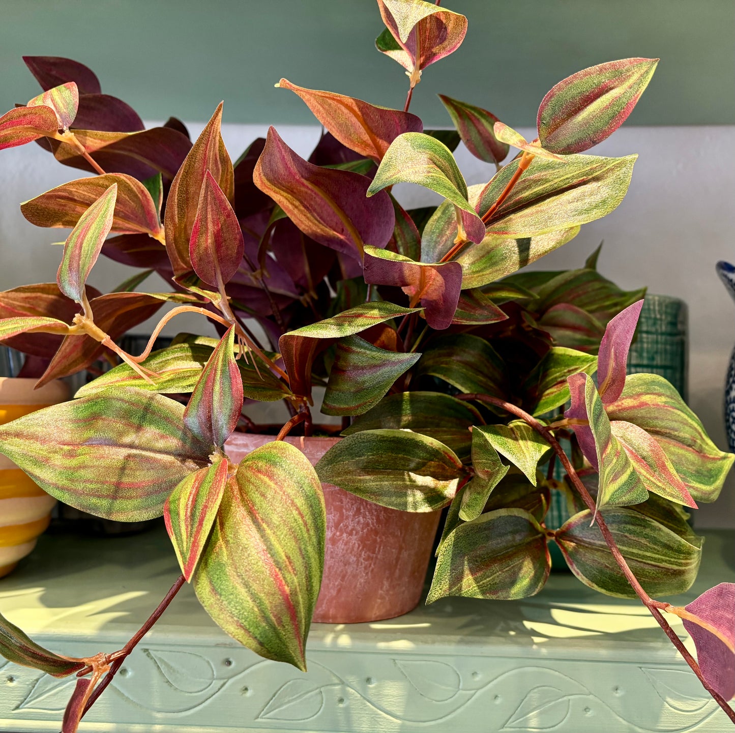 Potted Day Flower Vine