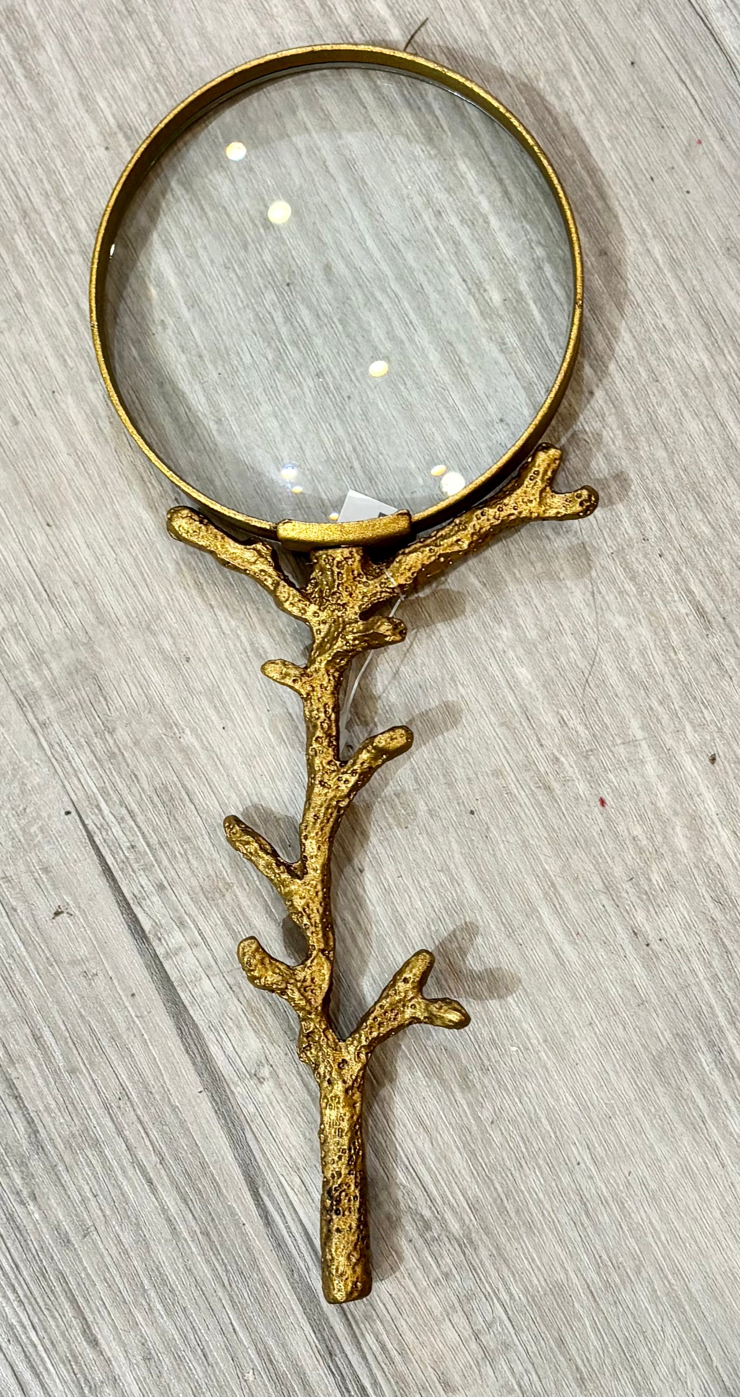 Handheld Magnifying Glass