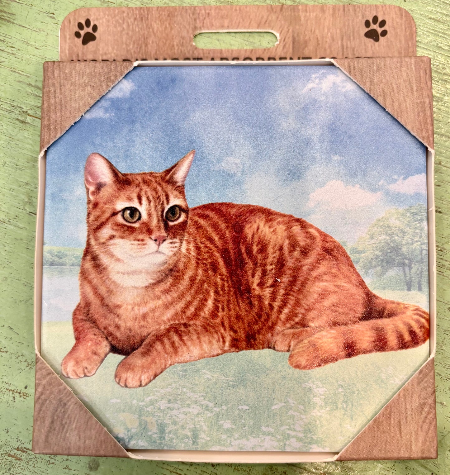 Orange Tabby Cat Coaster