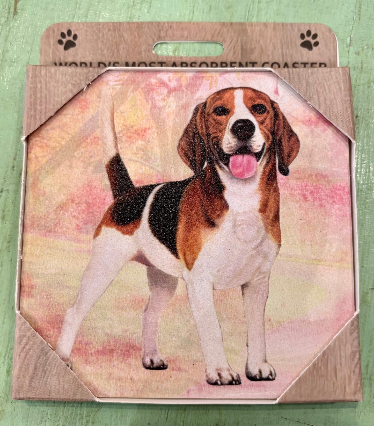 Beagle Coaster