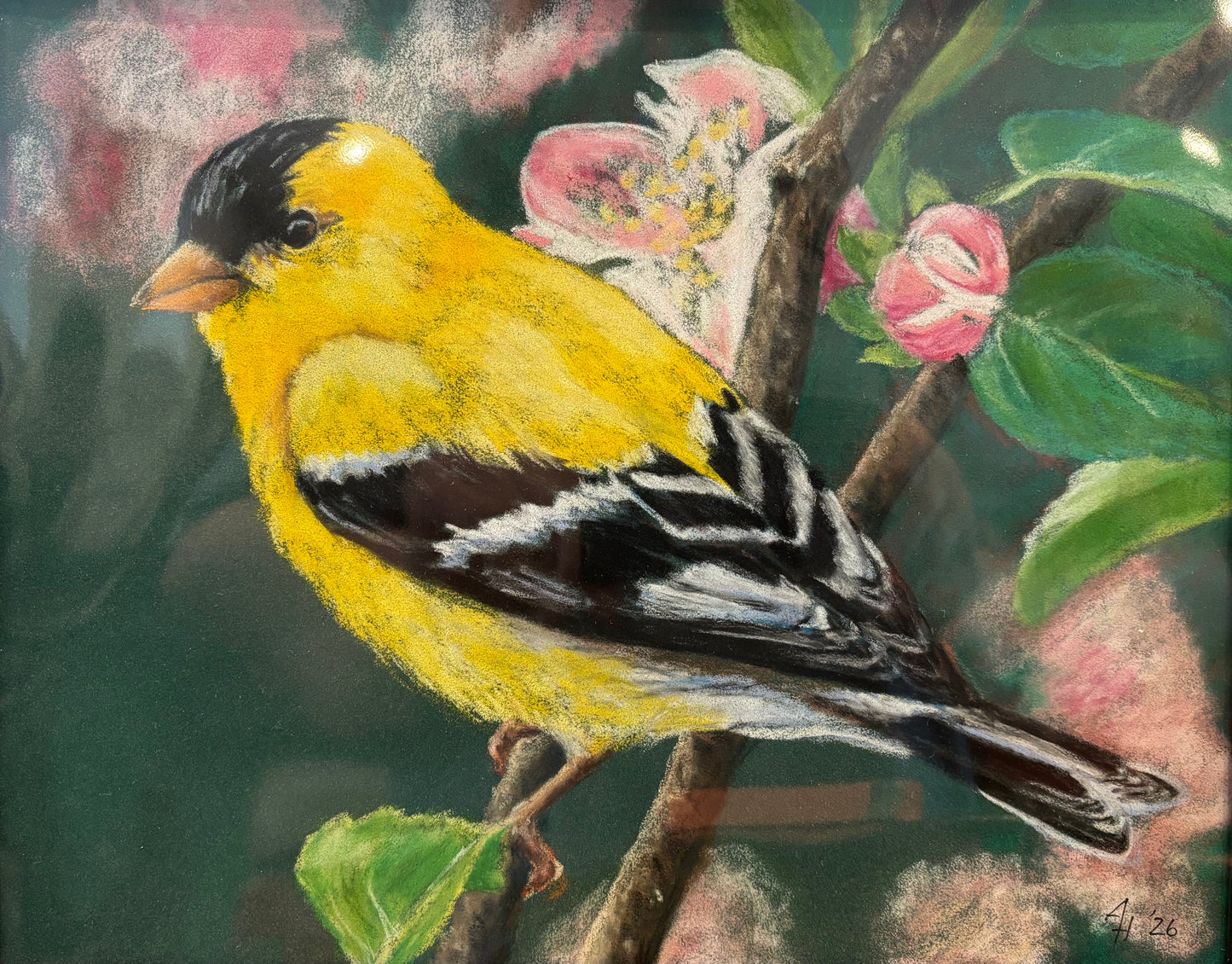 Goldfinch by Amanda Hendershot