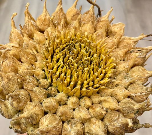 Faux Sunflower Stem