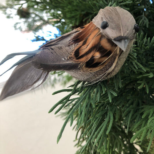 Birds on Clip, Feathered