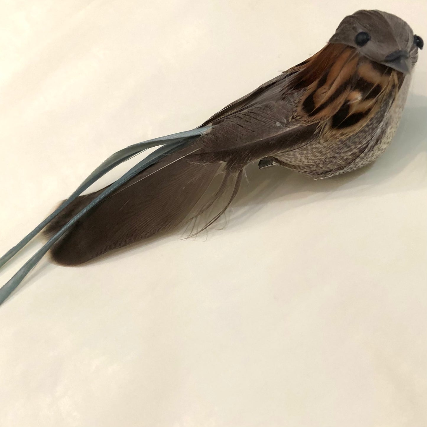 Birds on Clip, Feathered