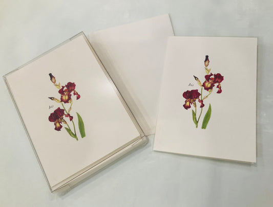 Note Cards, Iris Assortment