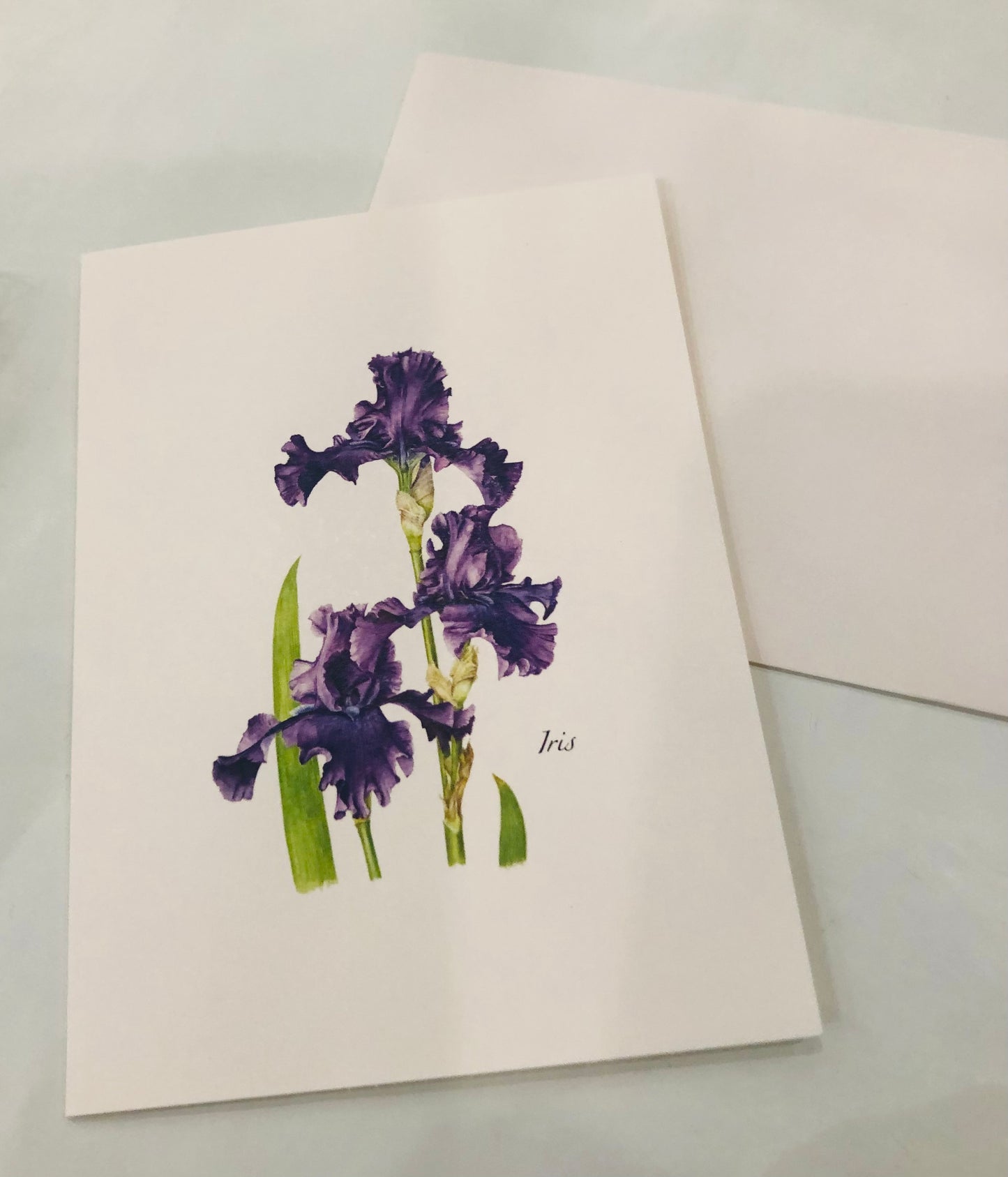 Note Cards, Iris Assortment