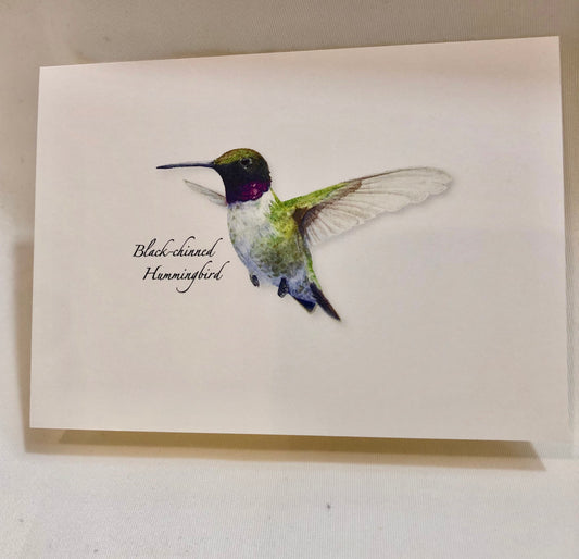 Note Card Set, Western Hummingbird Assortment