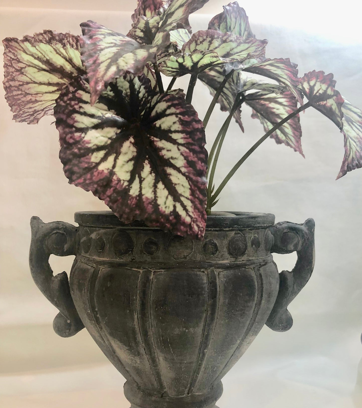 Pot, Cement, Black finish, with Handles