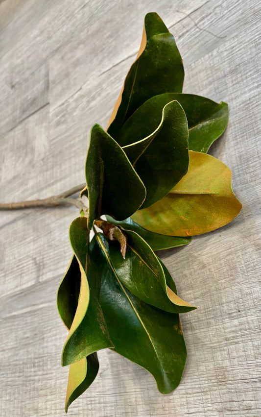 Faux Magnolia Leaf Stem, 25"