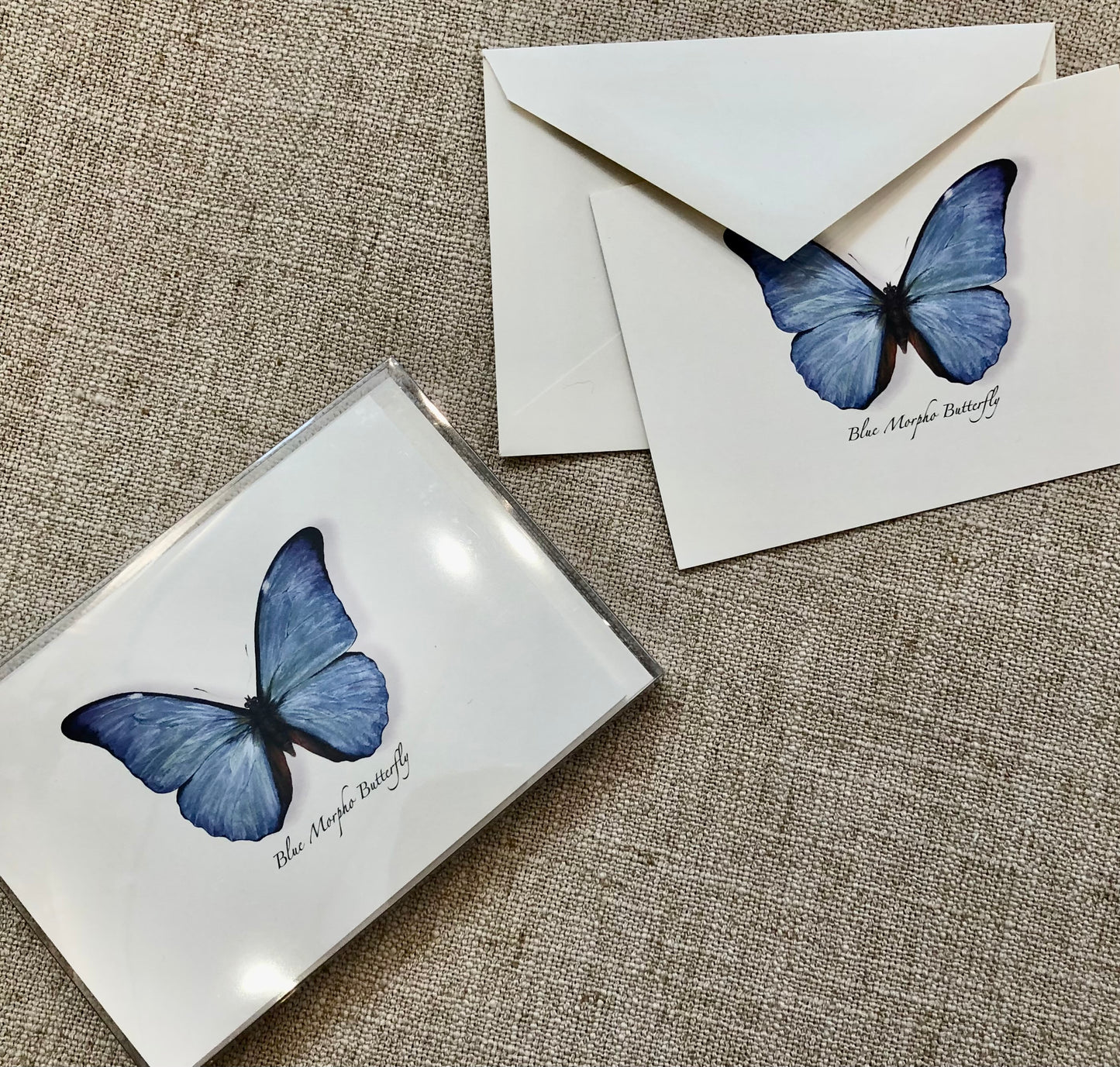 Note Cards, Blue Morpho Butterfly