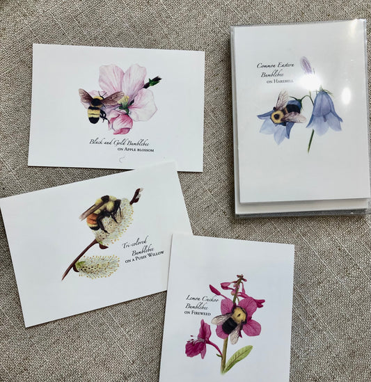 Note Card Set, Spring Bee Assortment