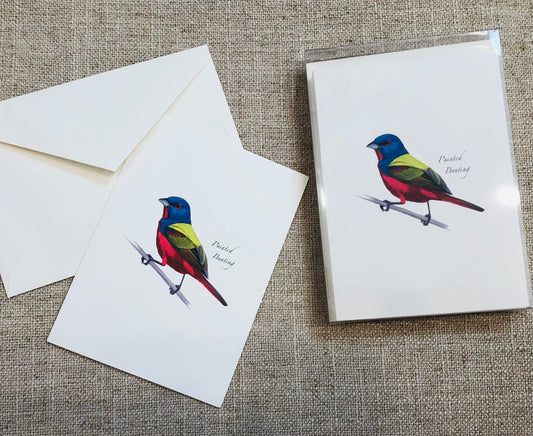 Note Cards, Set of 8, Painted Bunting
