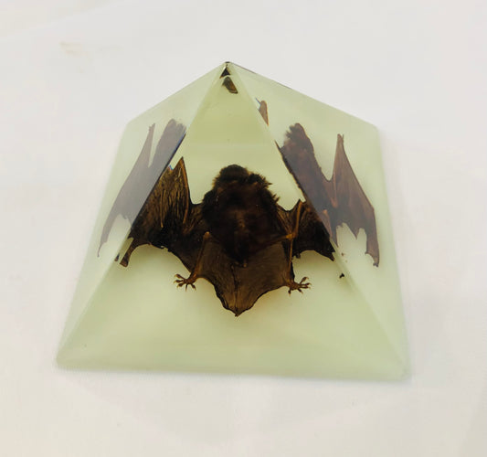 Pyramid Paperweight, Glow in the Dark Bat