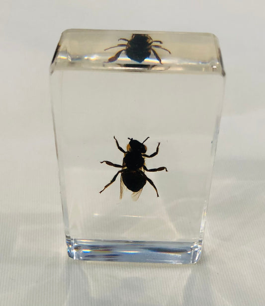 Paperweight, Small Honey Bee