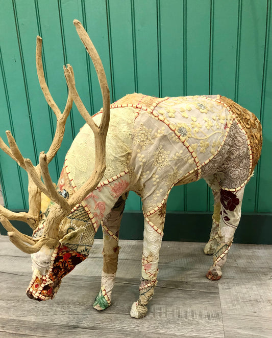 Bavarian Forest Stag, Grazing