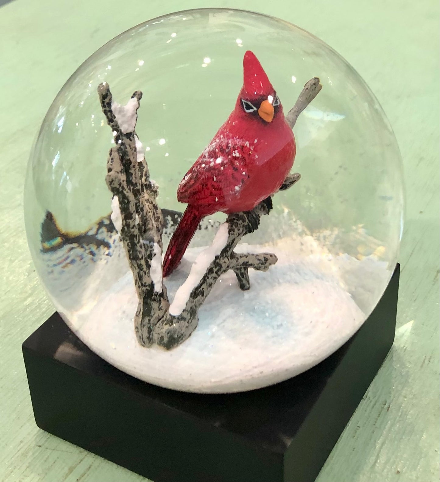 Snow Globe, Cardinal Singing