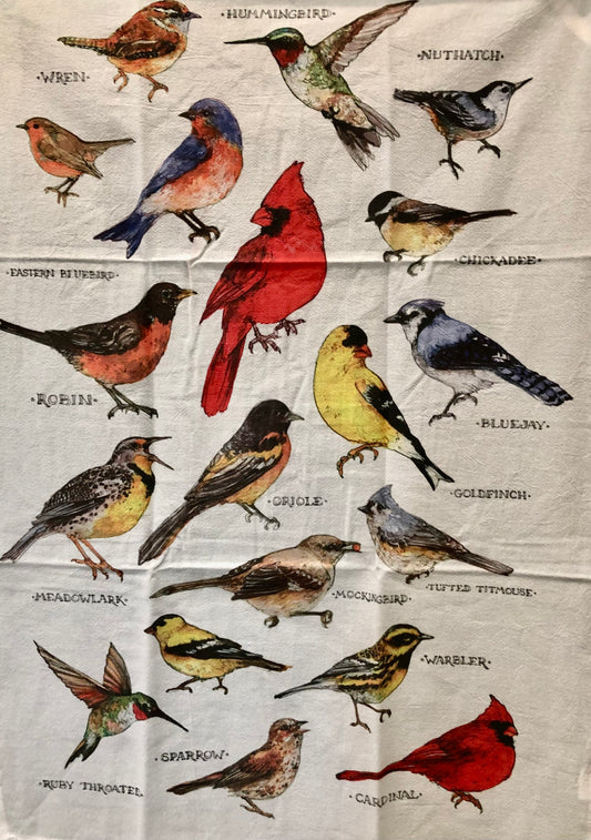 Field Guide Birds Kitchen Towel