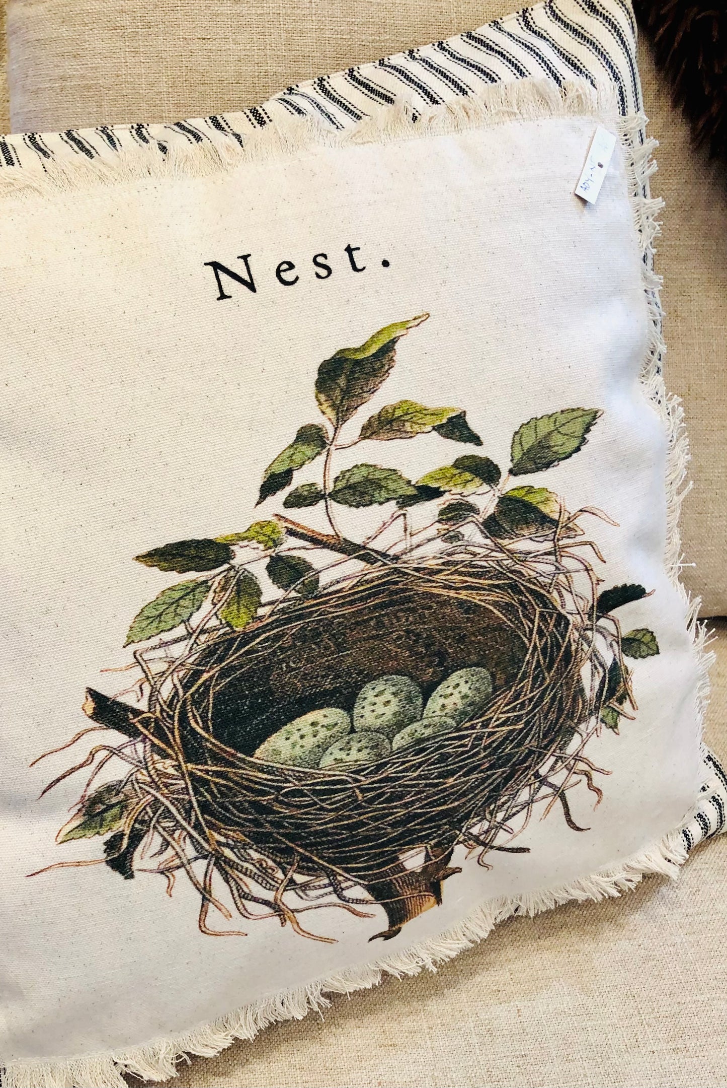 "Nest" Pillow with Ticking Border
