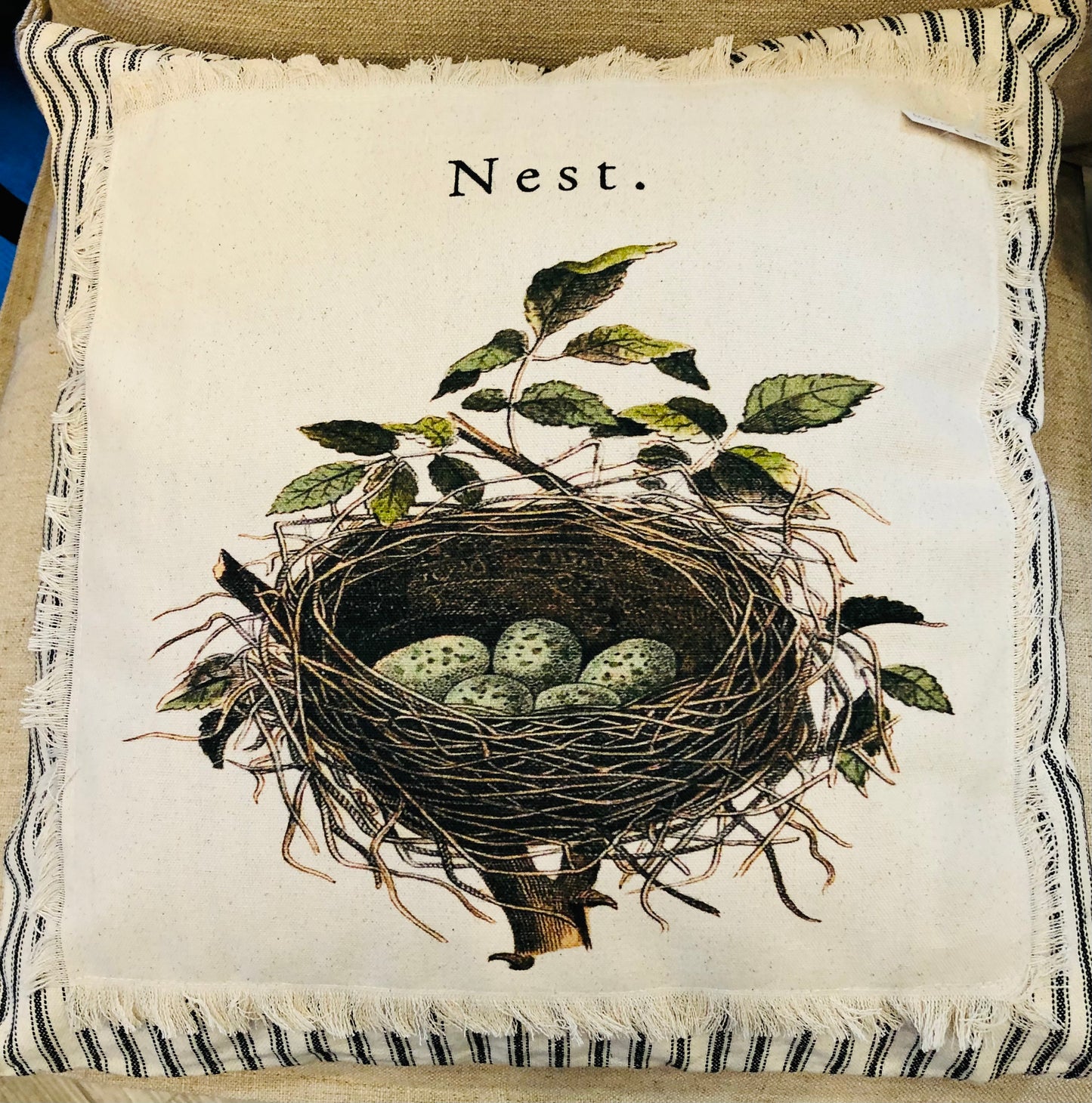 "Nest" Pillow with Ticking Border