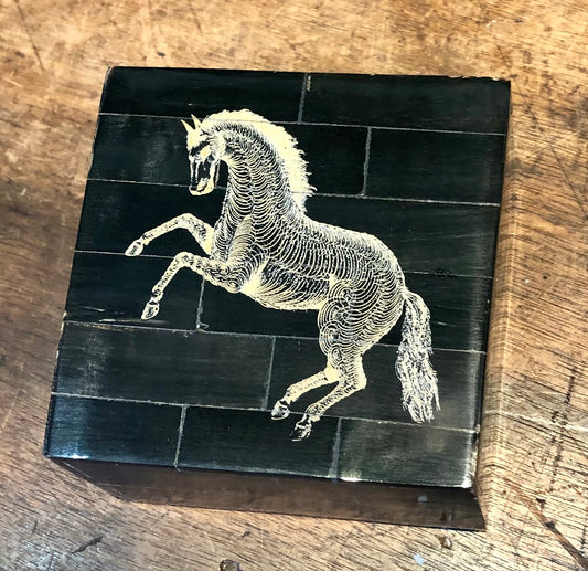 Black Horn Box with Scrimshaw Horse