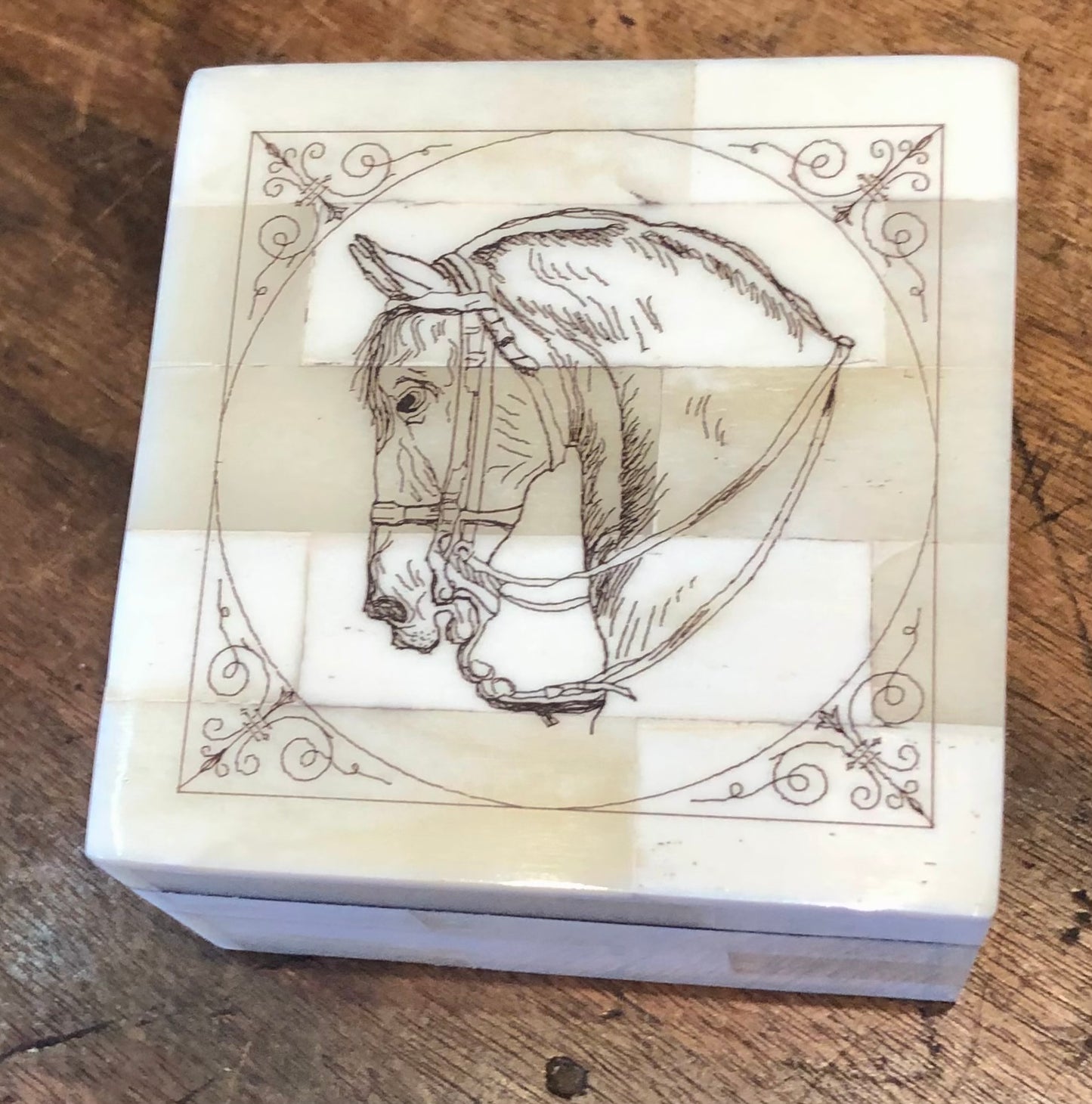 Horsehead Scrimshaw Bone Box