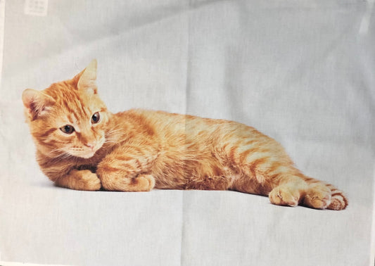 Cotton Tea Towel, Big Ginger Cat