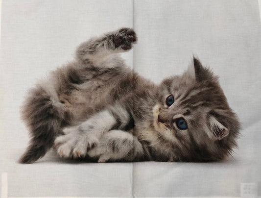 Cotton Tea Towel, Fluffy Kitten