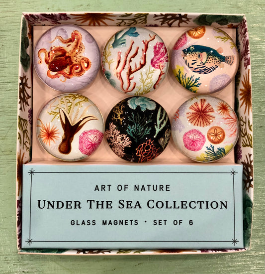 "Under the Sea" Glass Magnets, Set 6