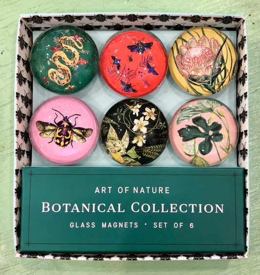 "Botanical" Glass Magnets, Set 6