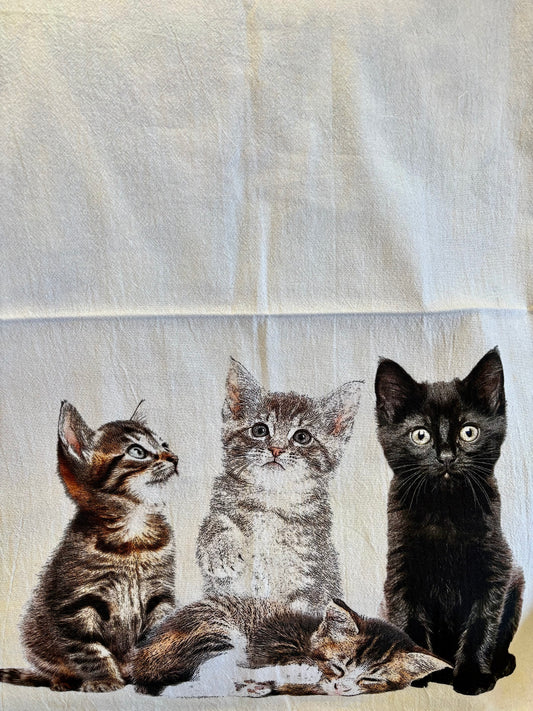 "Kittens" Towel