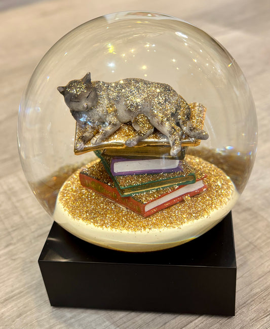 Snow Globe/Cat on Books