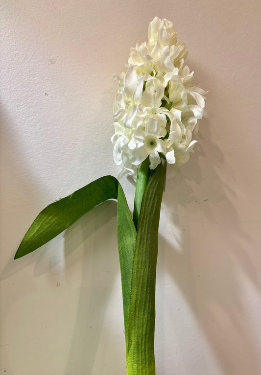 Hyacinth Stem, 11"