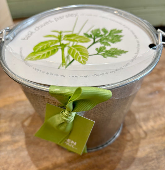 Organic Herb Garden in a Pail