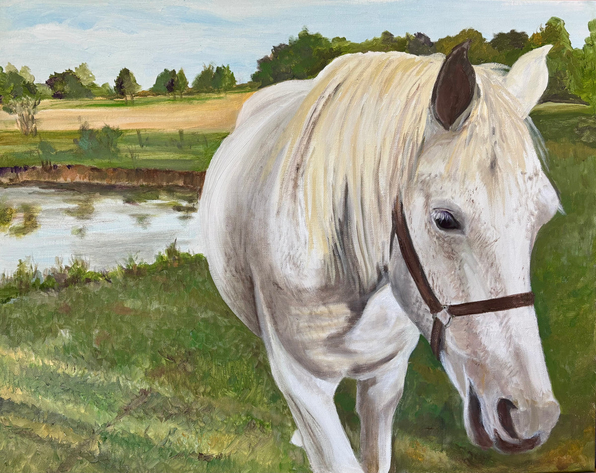 "I Should Have Been a Contender", Oil Painting by Connie Estes Beale