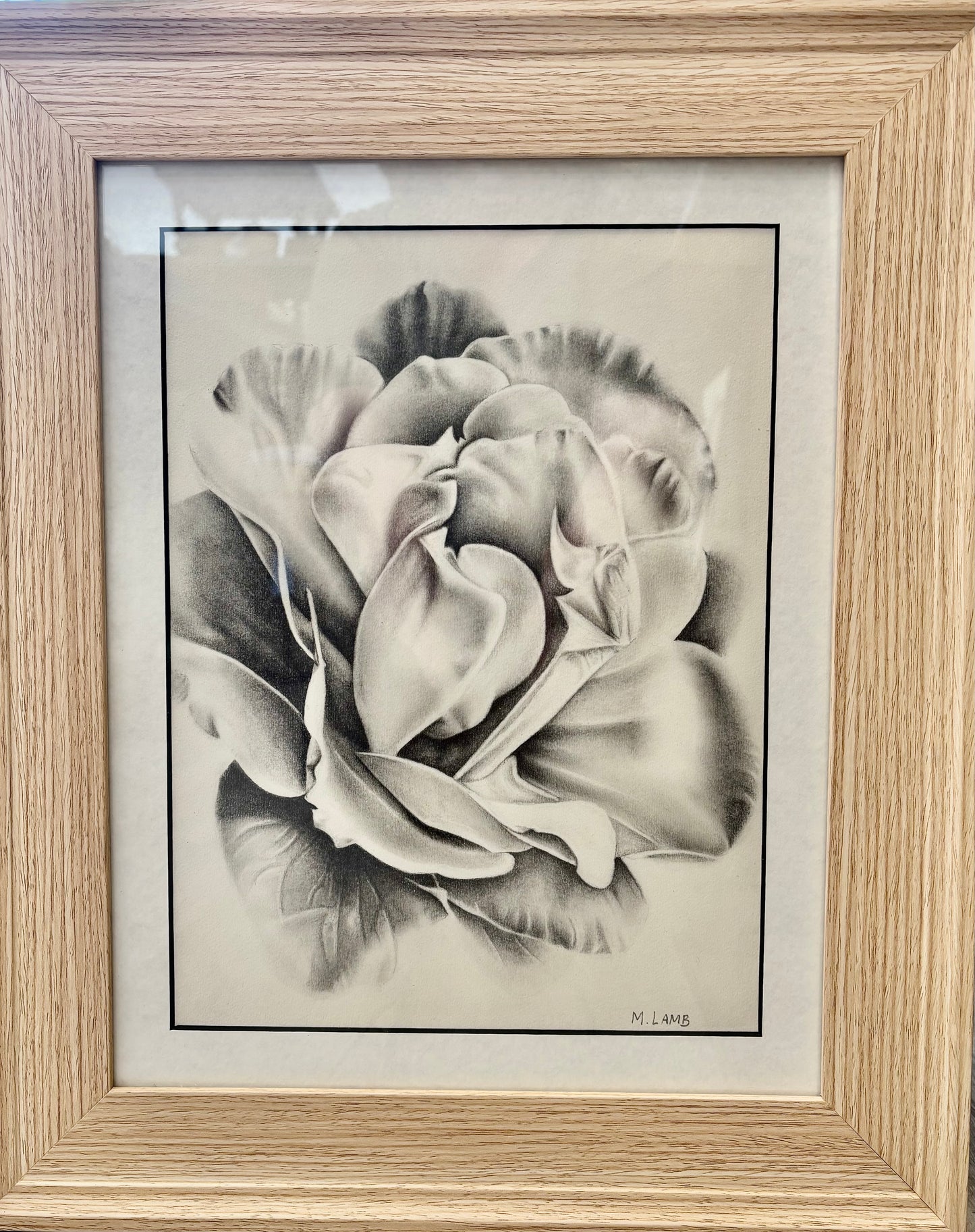 Graphite Drawing of Rose by Morgan Lamb