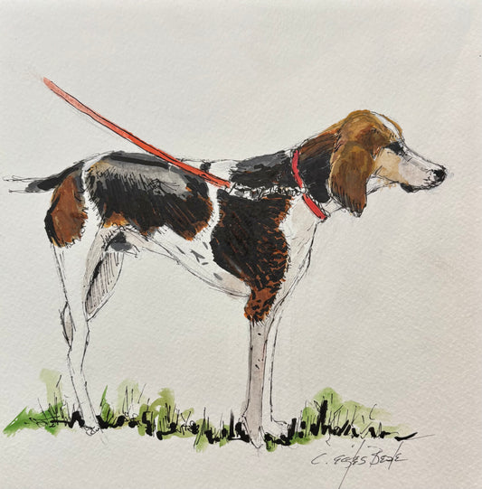 "Hank" by Connie Estes Beale