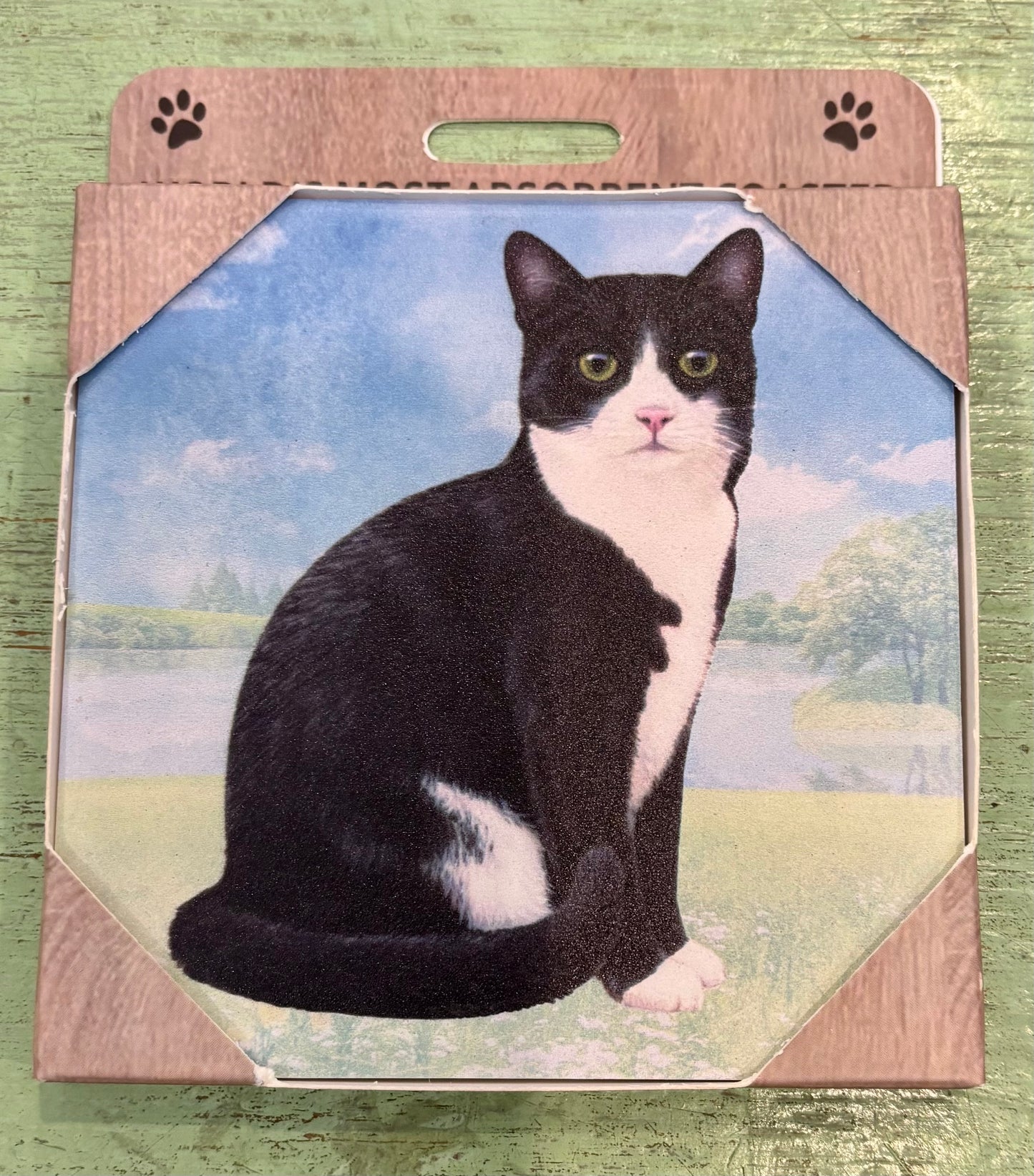 Black & White Cat Coaster
