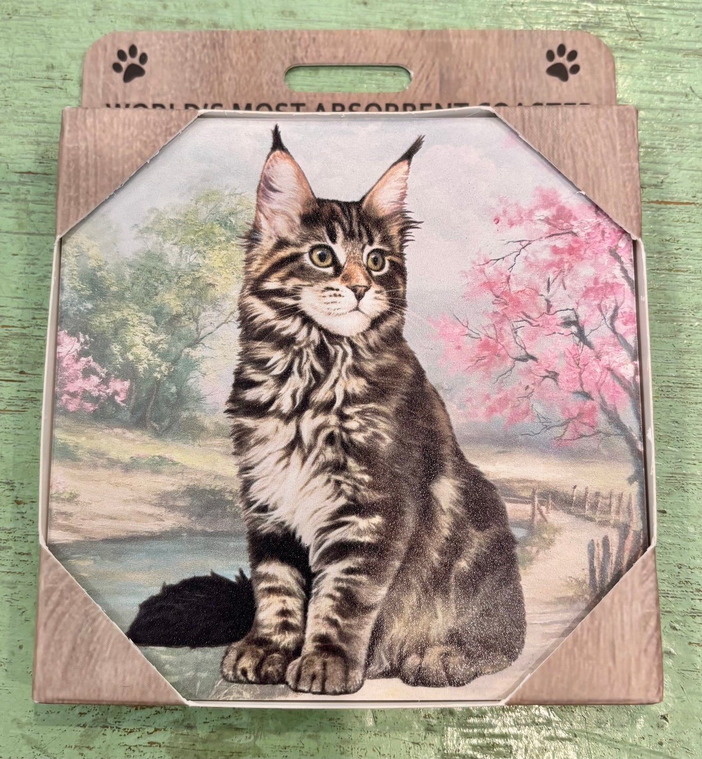 Maine Coon Cat Coaster