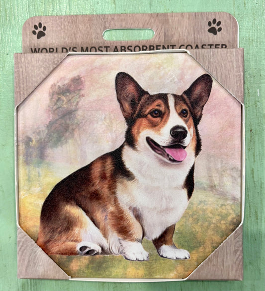 Welsh Corgi Coaster