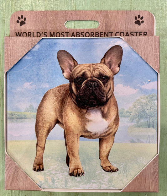 French Bulldog Coaster