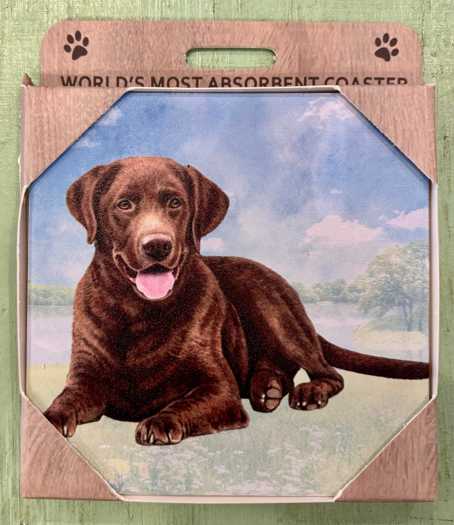 Chocolate Labrador Coaster